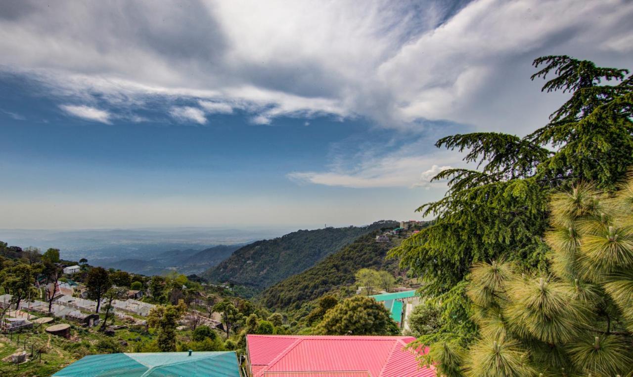 Treebo Roshan House With Valley View ماكليود غانج المظهر الخارجي الصورة
